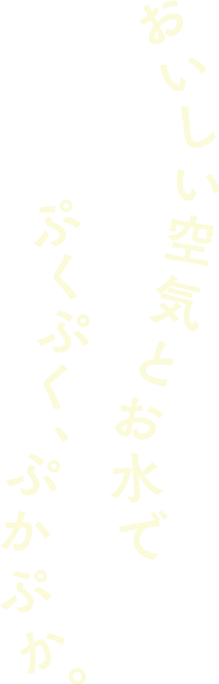 おいしい空気とお水で ぷくぷく、ぷかぷか。